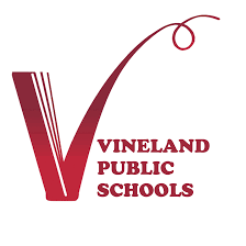 vineland schools