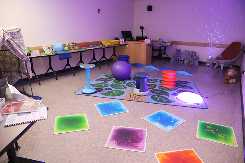 The LRC-South Inclusion Institute Sensory Room. 