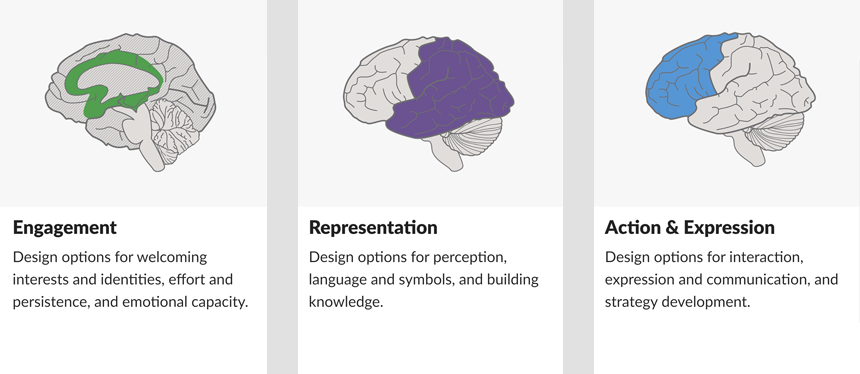 Three images of a barin. The first image highlights the portion of the brain that deals with engagement, interests, and effort. The second image highlights the area of the brain that are used for representation, perception, and building knowledge. The third image shows areas of the brain that deal with Action & Expression, communication, and strategy development.