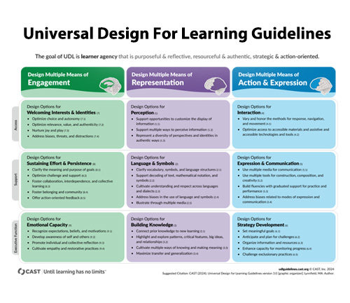 CASE UDL Framework Learner Agency Chart