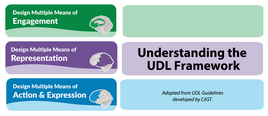 CASE UDL Framework Learner Agency Chart